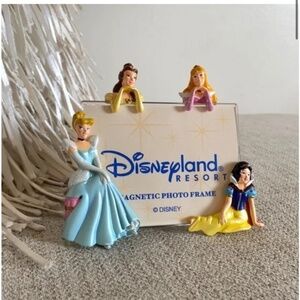 🪞 NEW Disney princess magnetic back disneyland resort photo frame